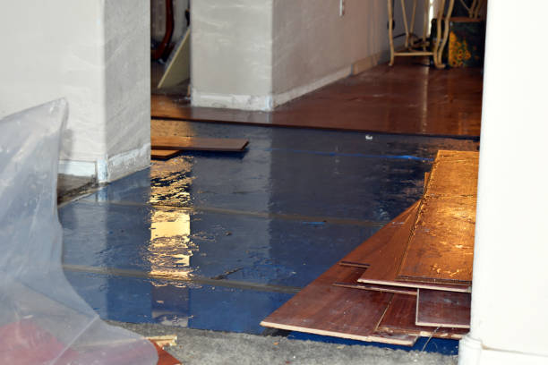 Professional Sewage Cleanup technician working in Montrose, MI